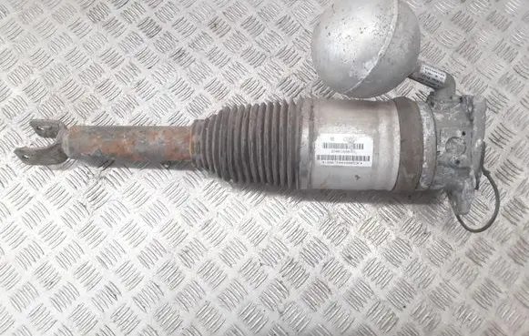 Volkswagen Phaeton Rear shock absorber/damper 3D0616001K 3D0616001 0606131745