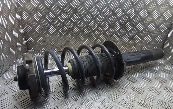Volkswagen Tiguan Front shock absorber with coil spring