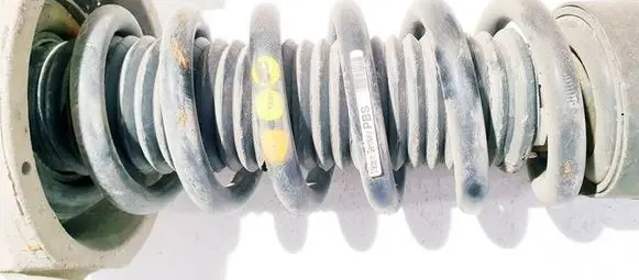 Rear coil spring