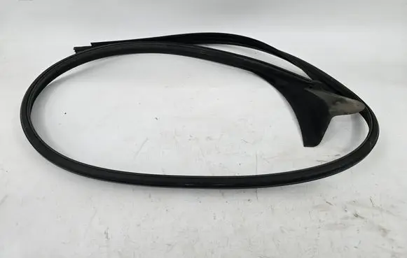 Polestar 4 Front door rubber seal 