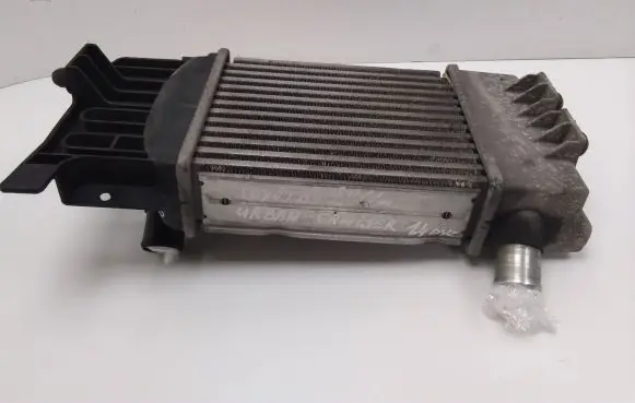 Toyota Urban Cruiser (XP110) Intercooler radiator JD1271005100