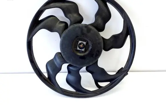 Hyundai i20 (GB IB) Viscous fan 3137230132
