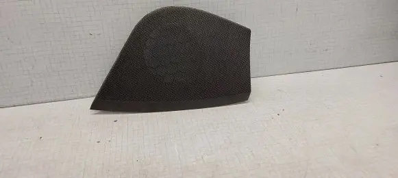 Side speaker trim/cover