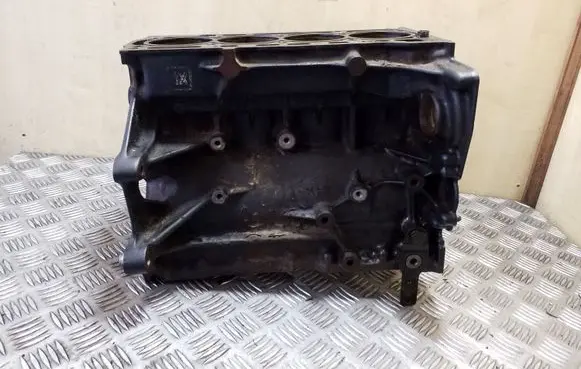 Volkswagen Golf Plus Engine block CAX