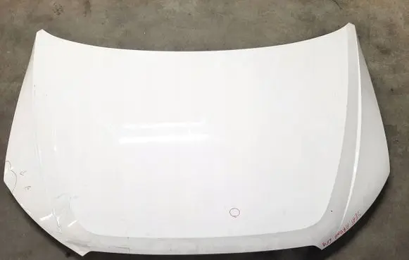 Engine bonnet/hood
