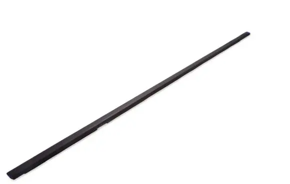 Citroen C5 Rubber seal front door (on door) 