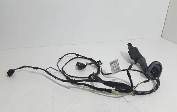 BMW 3 F30 F35 F31 Front door wiring loom 9286238