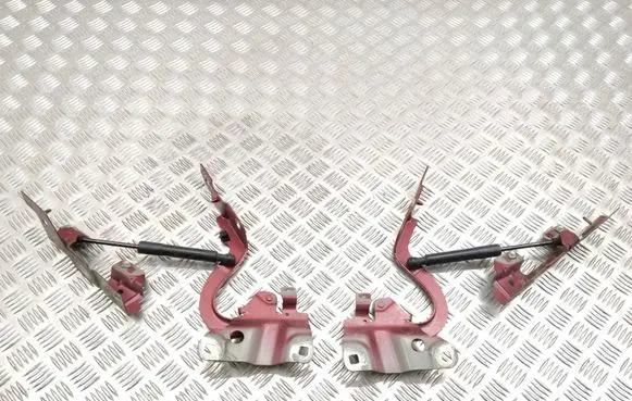 Renault Zoe Engine bonnet/hood hinges 654009955R 654018609R 654833942R