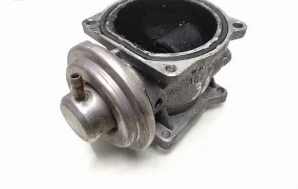EGR valve