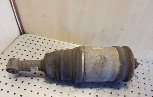 Land Rover Range Rover Sport L320 Rear shock absorber/damper RPD500850
