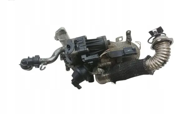Peugeot Partner EGR valve