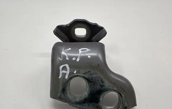 Renault Captur II Front door lower hinge 
