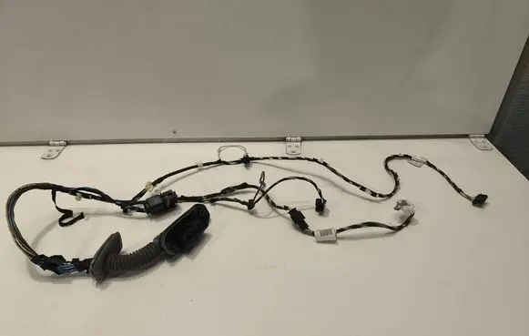 BMW X3 F25 Front door wiring loom 9147281 16705371A