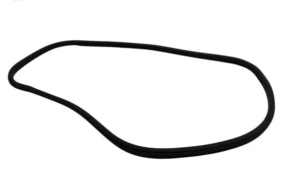Citroen DS5 Front door rubber seal