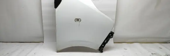 Renault Trafic III (X82) Fender