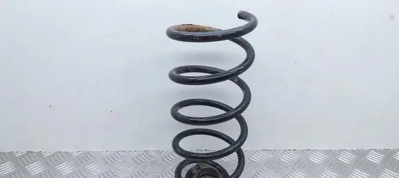 Rear coil spring