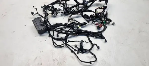 Nissan Qashqai J12 Other wiring loom 240126UM1A