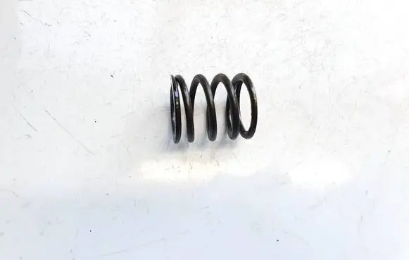 Volkswagen PASSAT B6 Valve spring 