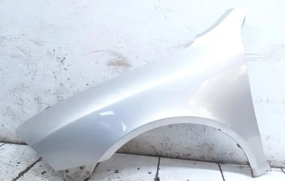 Skoda Octavia Mk2 (1Z) Fender