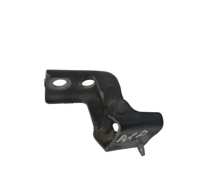 Peugeot 308 Front door lower hinge 