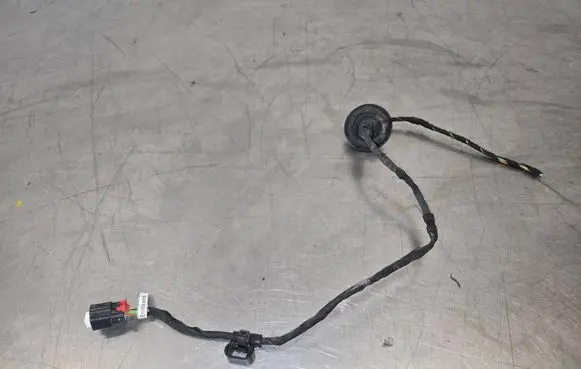 Other wiring loom