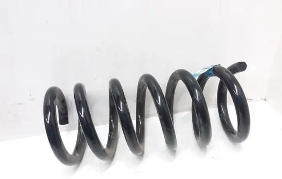 Ford Mustang VI Rear coil spring FR3C5560BC