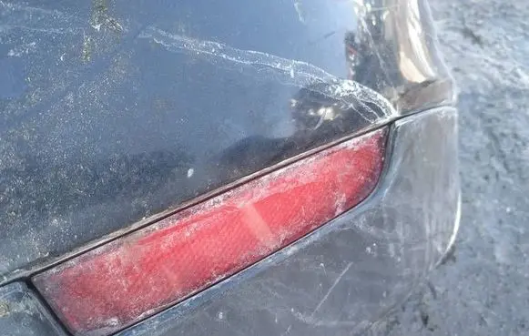 Seat Ibiza III (6L) Rear tail light reflector 