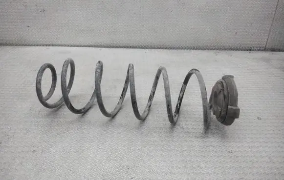 Renault Laguna II Rear coil spring