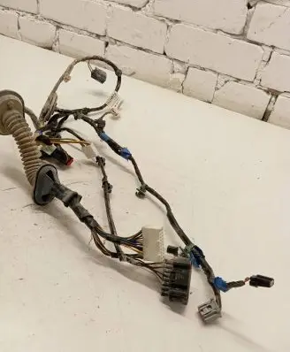 Front door wiring loom