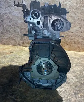 Opel Vivaro Engine 100016415R C012810