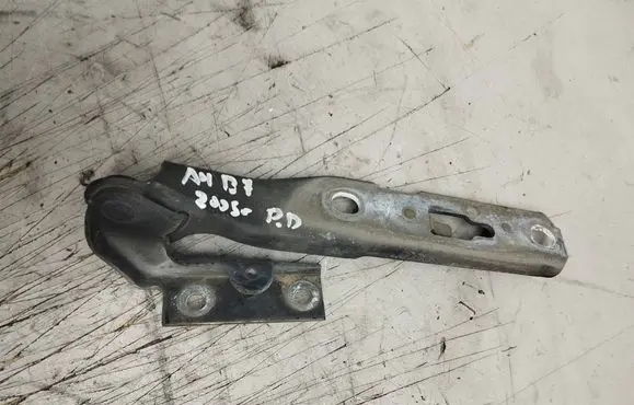 Audi A4 S4 B7 8E 8H Engine bonnet/hood hinges 8E0823302E