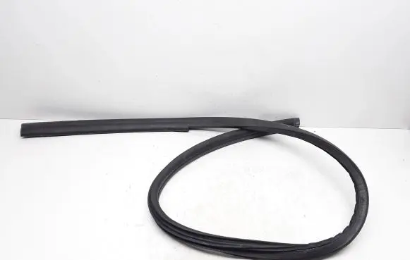 Volvo C70 Rubber seal front door (on door) 31256242