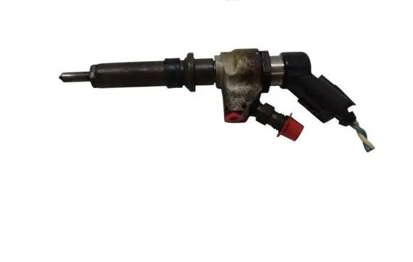 Peugeot 307 Fuel injector 9636819380
