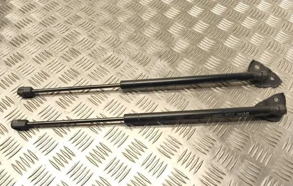 Renault Megane III Tailgate/trunk strut/damper 
