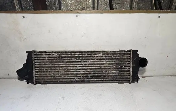Opel Vivaro Intercooler radiator 8200411160