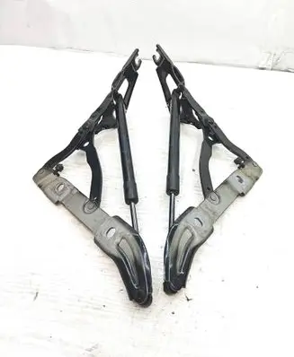 BMW 2 F22 F23 Tailgate/trunk/boot hinge 7304558 ES03