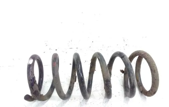 Chevrolet Captiva Rear coil spring