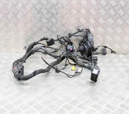 BMW X3M F97 Front door wiring loom
