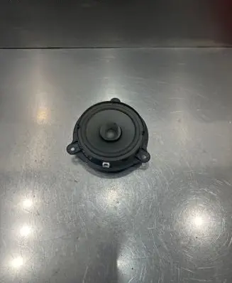 Nissan Leaf I (ZE0) Front door speaker G11504c4