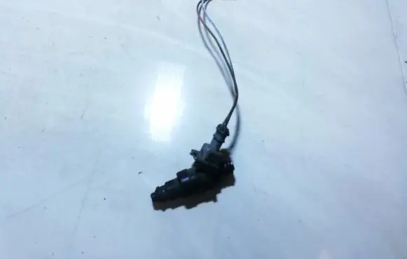 Renault Scenic I Fuel injector 866313