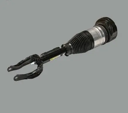 Mercedes-Benz GLS X167 Front shock absorber/damper A1673201003
