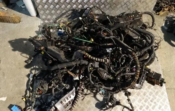 Porsche Panamera (970) Wiring harness 4.8