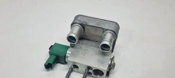 Renault Arkana Air conditioning (A/C) expansion valve 295E35353R