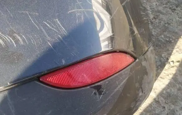 Renault Megane III Rear tail light reflector 