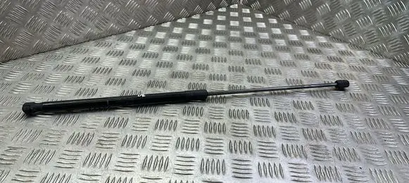 Land Rover Range Rover Evoque L538 Tailgate/trunk strut/damper BJ32406A10AB