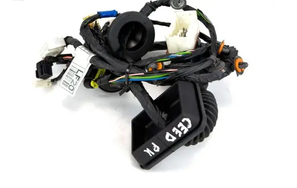 KIA Ceed Front door wiring loom 916071H200