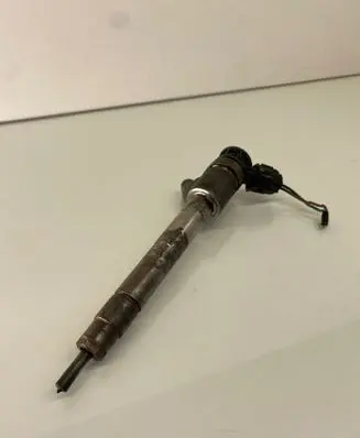 Peugeot Partner III Fuel injector 0445110955 9828959880