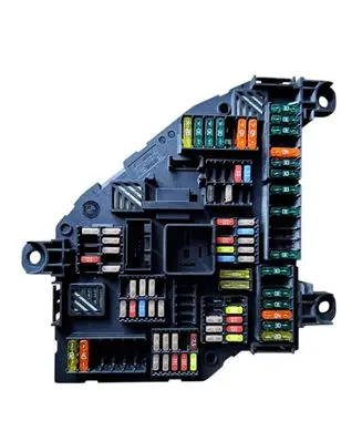 BMW 5 F10 F11 Fuse module 9234423 923442301