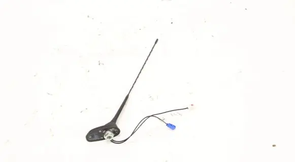 Other wiring loom