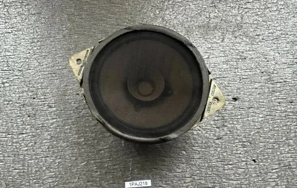 Panel speaker